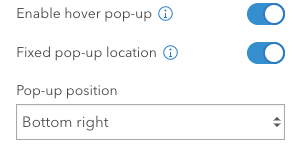 Hover pop-up settings in the configuration panel