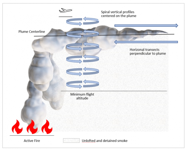 Figure 2 – Typical 3D sampling plan. Redrawn from Urbanski et al., 2013.