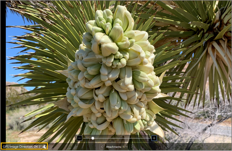 Image of photo in Attachment Viewer application with Image Direction information displayed