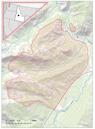 Figure 1 -- Location of Banner fire in the Salmon-Challis Nation Forest, central Idaho, U.S.