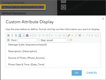 Image of Custom Attribute Display settings in Map Viewer