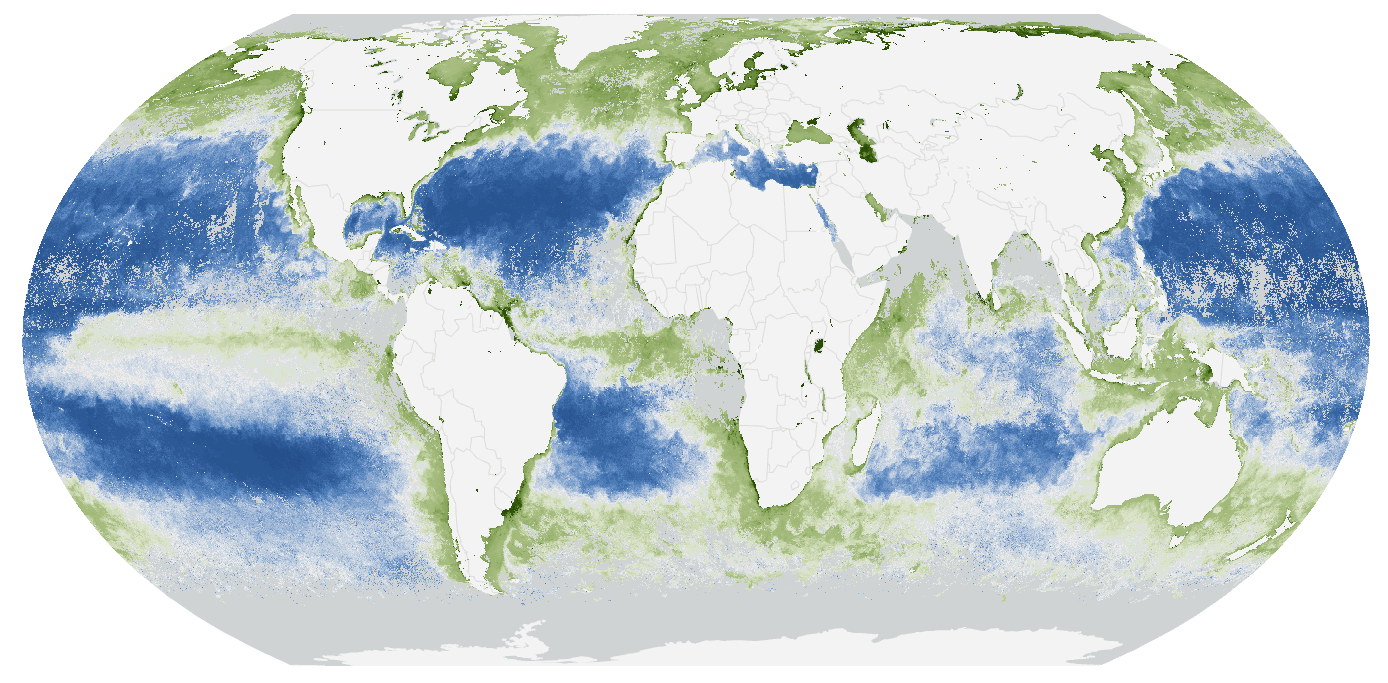 patterns of low and high chlorophyll across the ocean