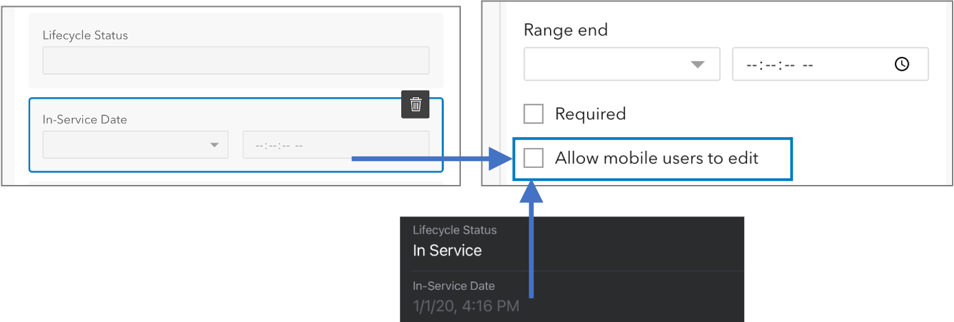 Read-only fields are grayed out in the editable form.