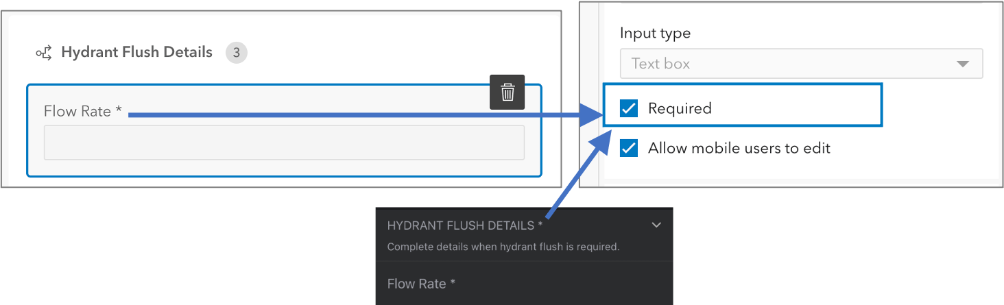 Required fields are marked with a * next to the display name.