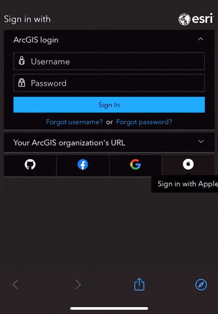 Sign in using your Apple ID