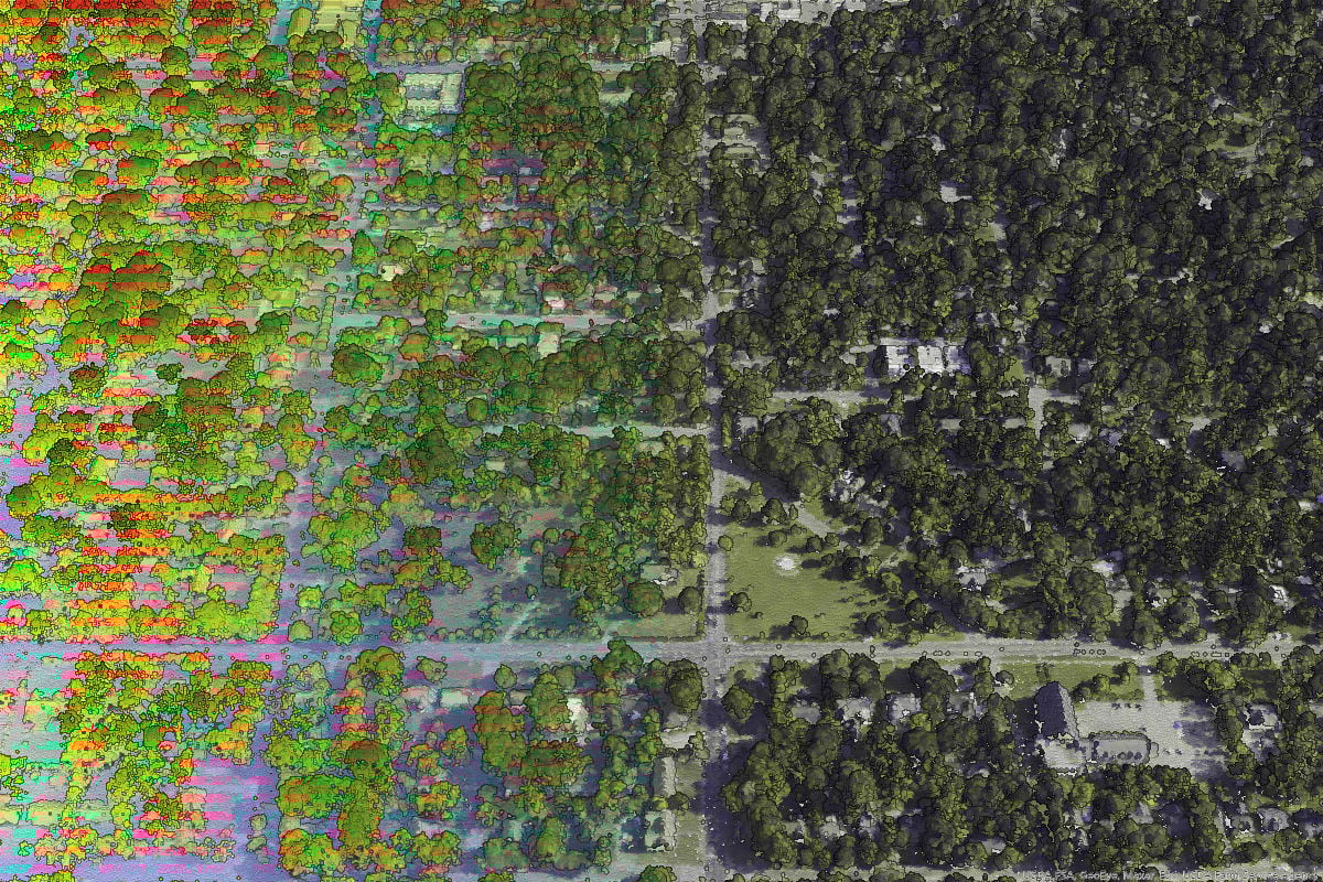 Lidar symbolized by height (left) and by RGB value from leaf-on NAIP imagery (right). Lidar symbolized by height (left) and by RGB value from leaf-on NAIP imagery (right).