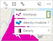 Open the layer options pane