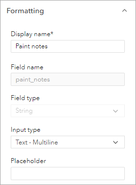 Format paint notes element