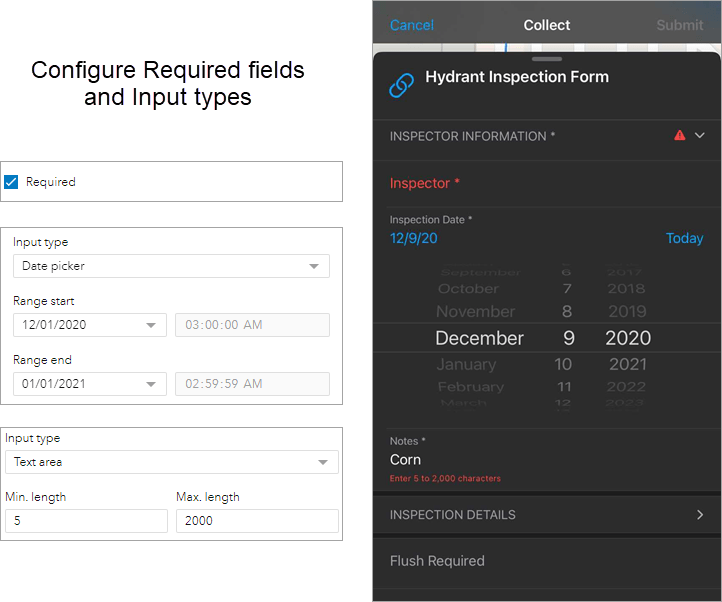Required fields and input types