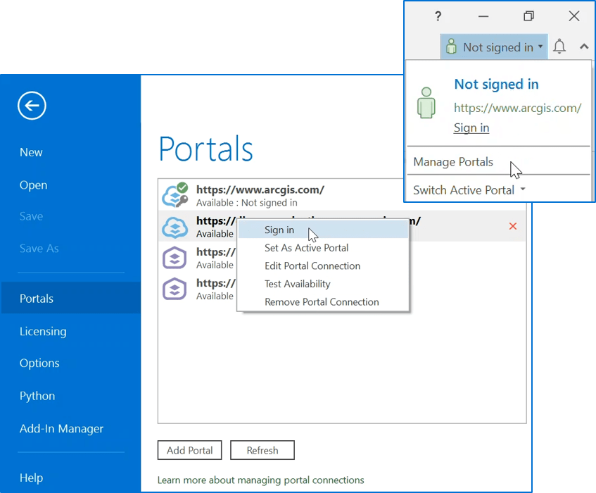 Portal connection options