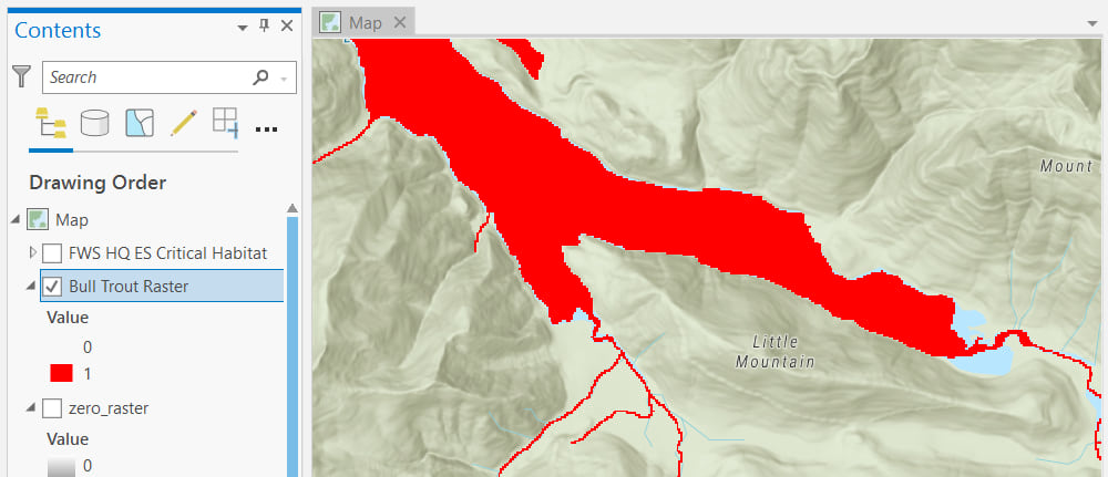 bull trout raster in ArcGIS Pro