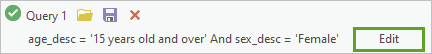 The Edit button next to Query 1 The Edit button next to Query 1
