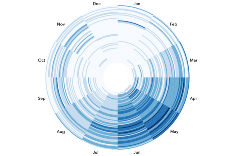 Tree ring chart Tree ring chart