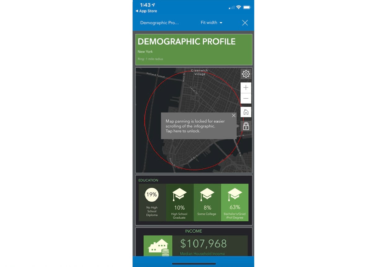 Demographic Profile infographic in BA Mobile App