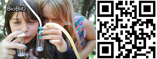 BioBlitz template BioBlitz template