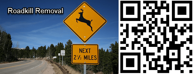 Roadkill Removal template Roadkill Removal template