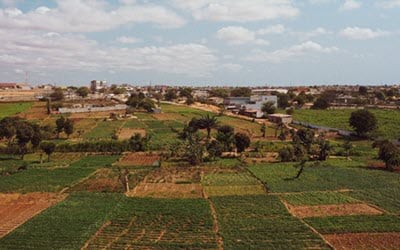 Ethiopian farm land