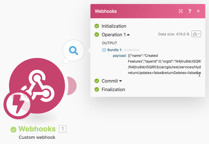 Webhook Payload Webhook Payload