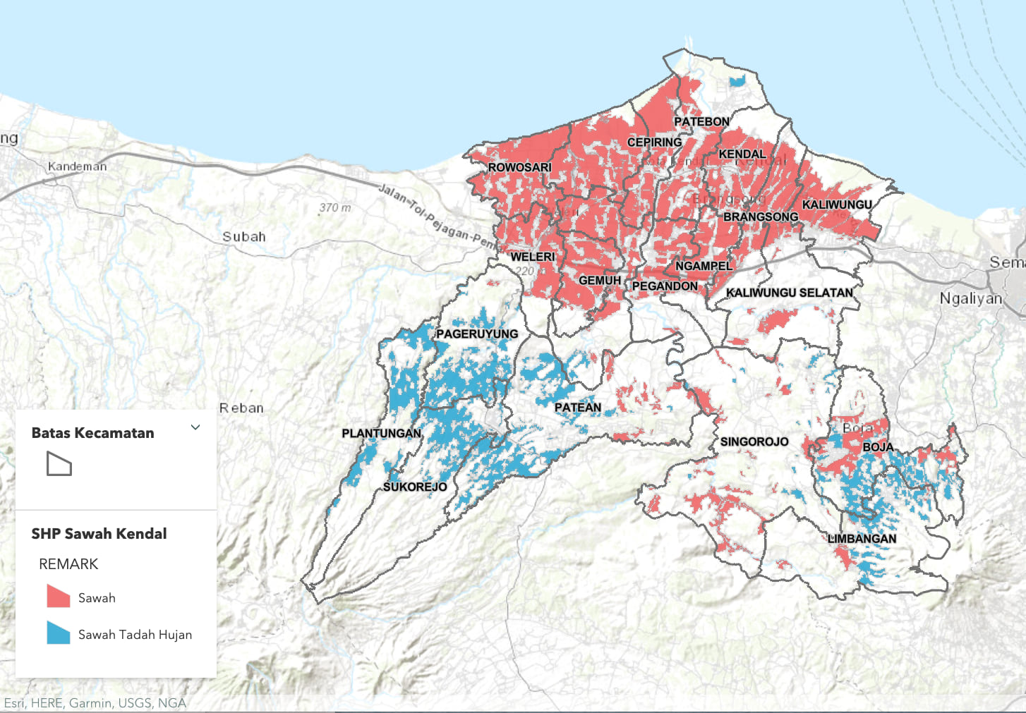 map showing distribution of rice growing in Kendall Regency, Indonesia