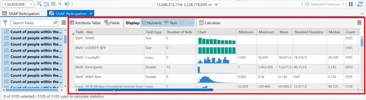 Showing a populated statistics panel in the Data Engineering view.