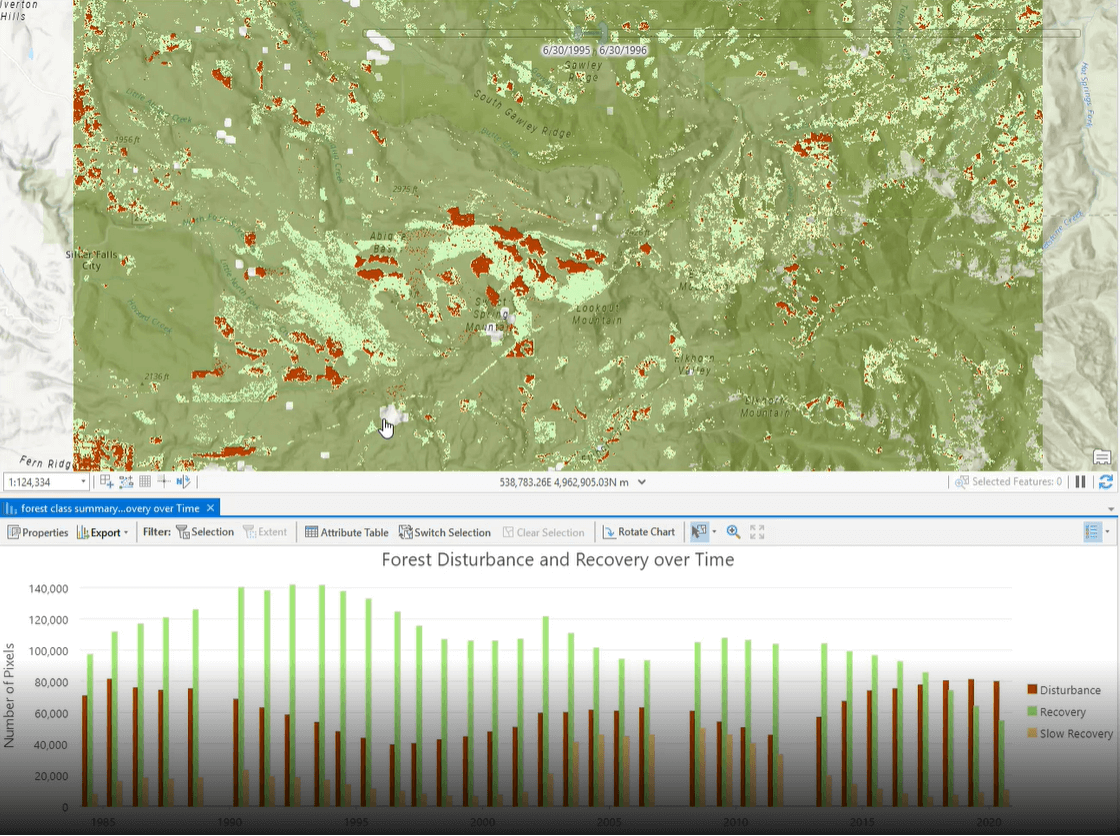 Visualizing the multidimensional raster using ArcGIS Pro’s visualization tools.