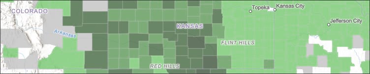 Wheat production