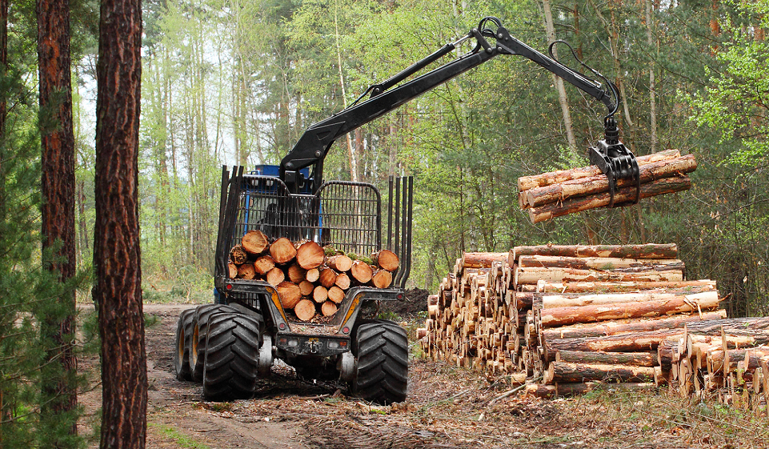 Camion trasporto legname "LOG TRUCK" AdobeStock_52914718