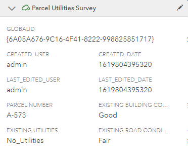 Survey123 survey details in job pane