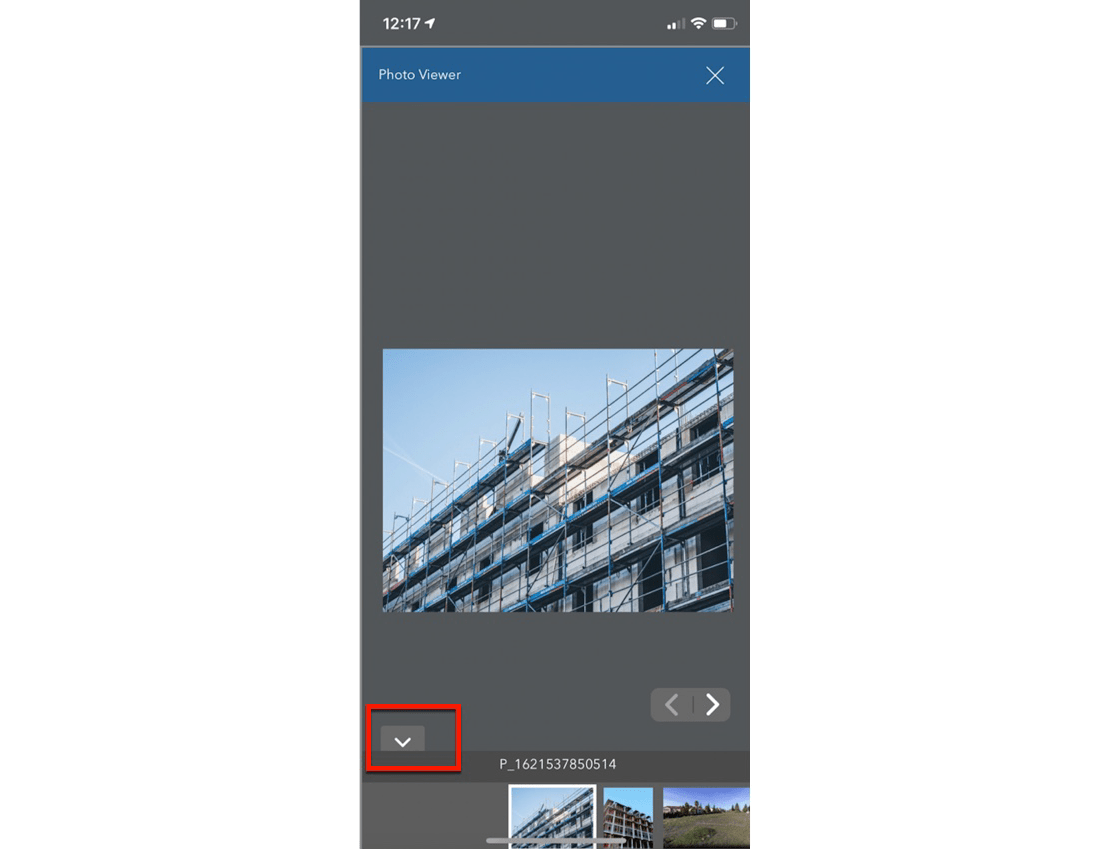 Hiding Photo Viewer thumbnails