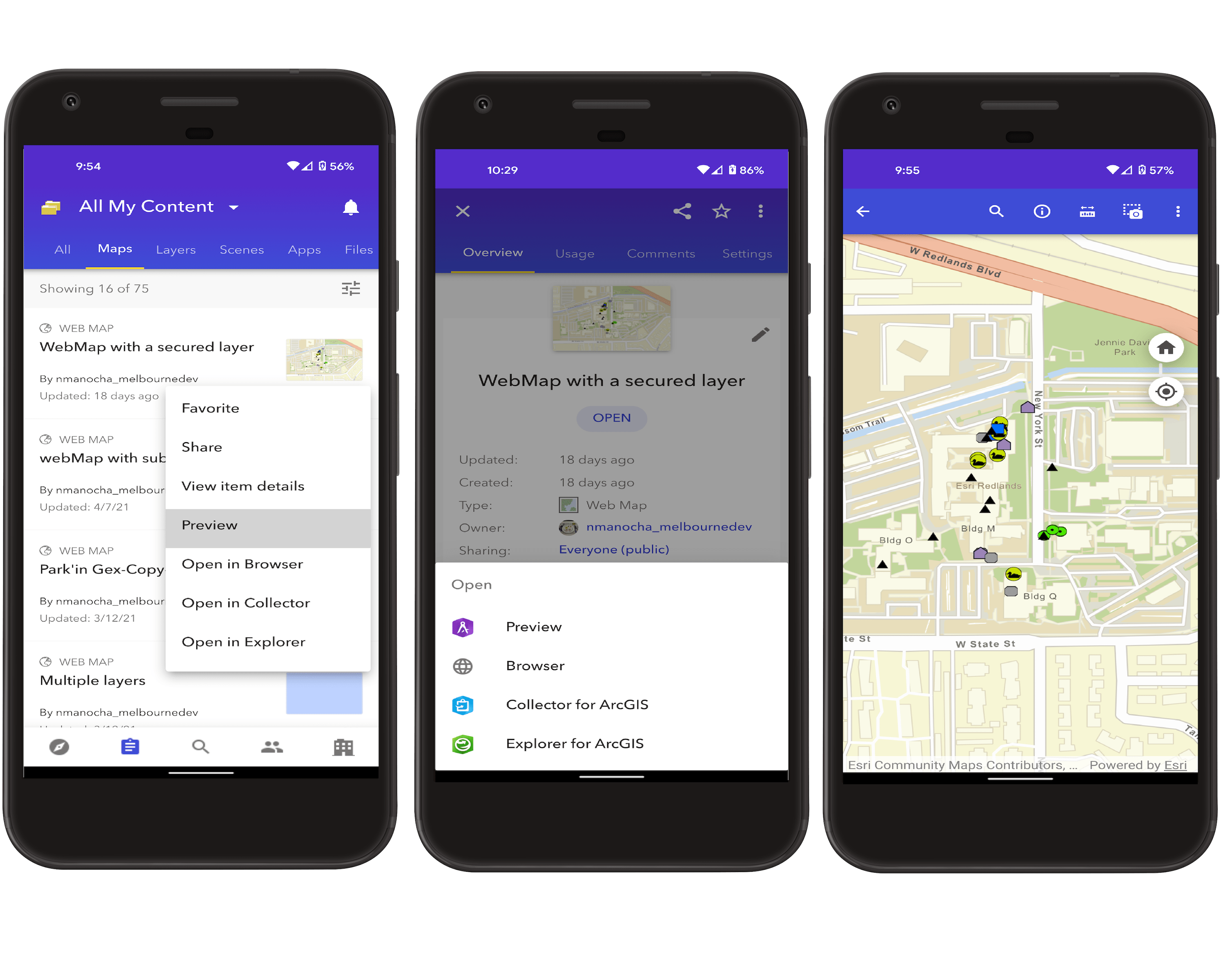 Preview web map within the app Preview web map within the app