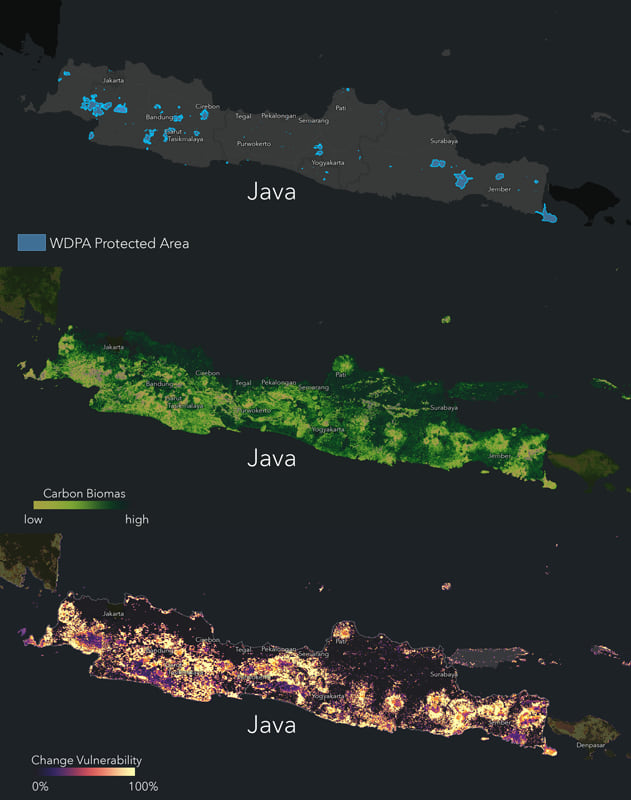 Java conservation, biomass, and vulnerability maps Java conservation, biomass, and vulnerability maps