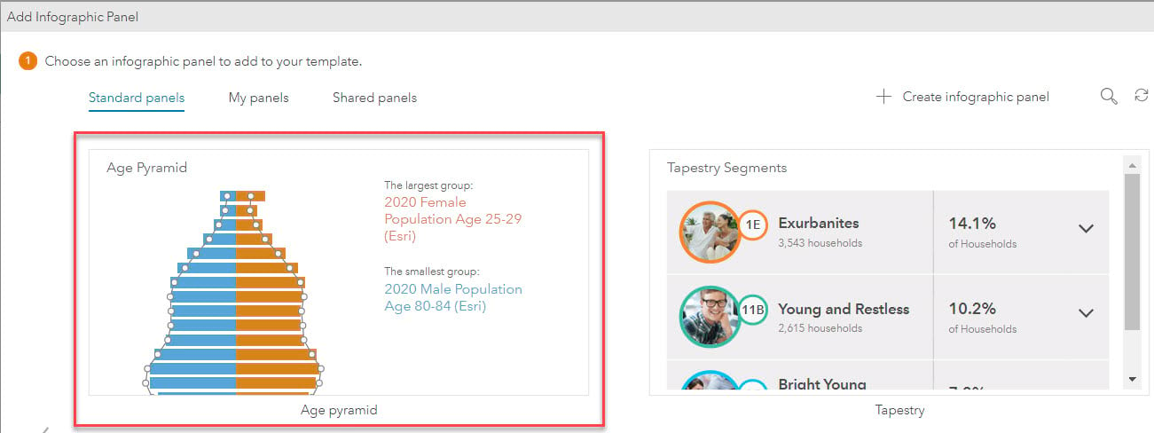 Add age pyramid infographic panel