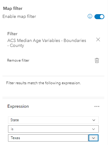 Enable Map Filter is toggled on. The County layer is selected, and the expression is "State is Texas." Enable Map Filter is toggled on. The County layer is selected, and the expression is "State is Texas."