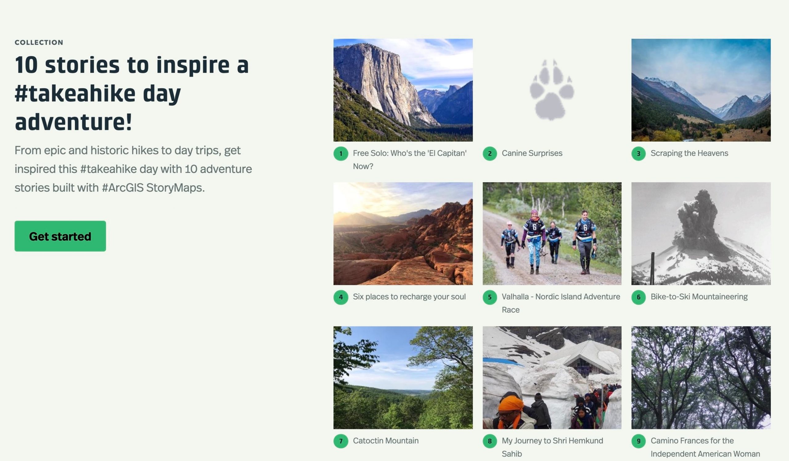 A collection featuring grid layout A collection featuring grid layout