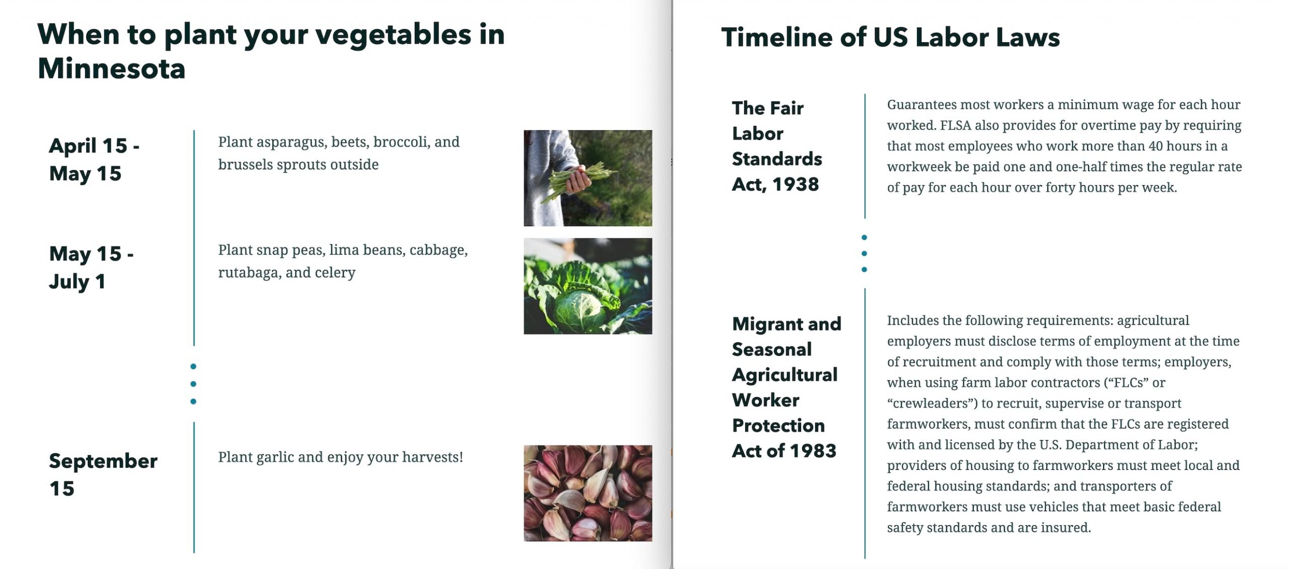 Two examples of timelines using condensed layout