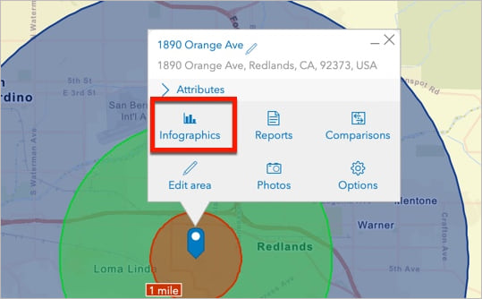 A site's information menu in Business Analyst