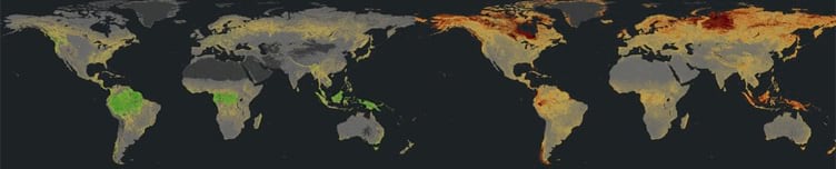 Above and below ground biomass carbon...