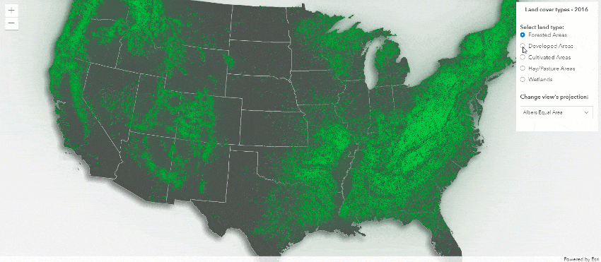 dynamically change the renderer and projection for land use imagery