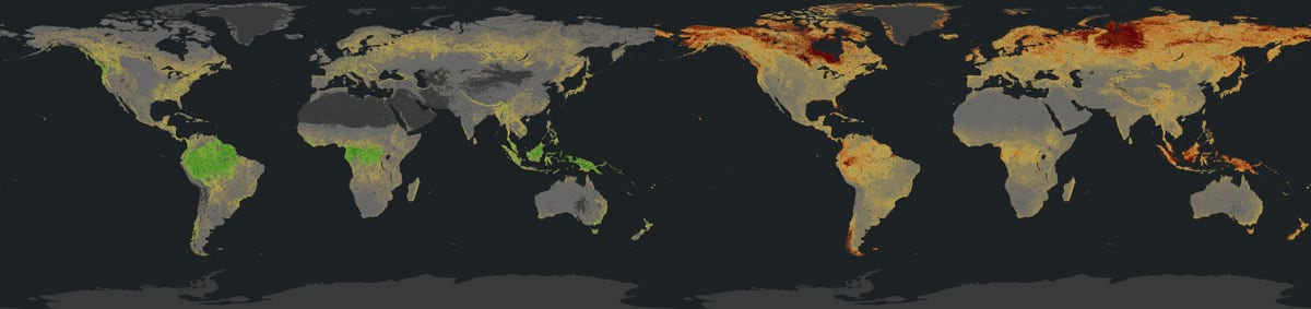 carbon biomass layers carbon biomass layers