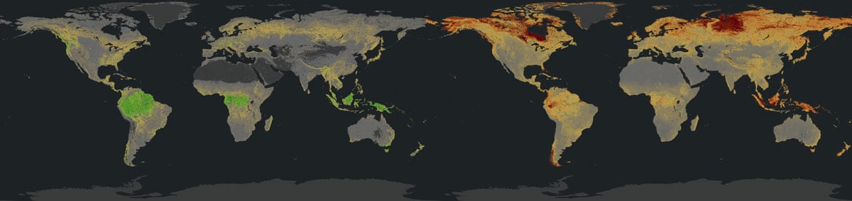 carbon biomass layers