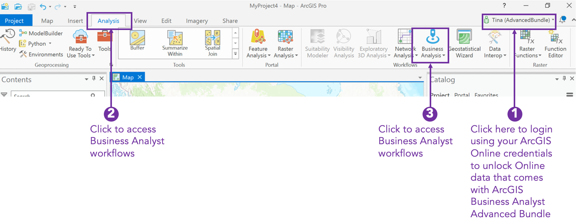 ArcGIS Business Analyst Pro menu