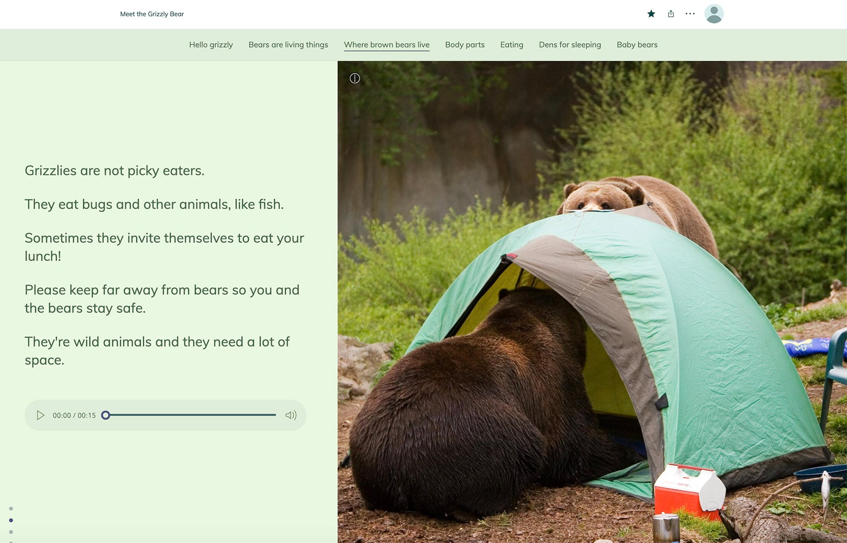 Two brown bears raid a campsite crawl into a tent and help themselves to a meal