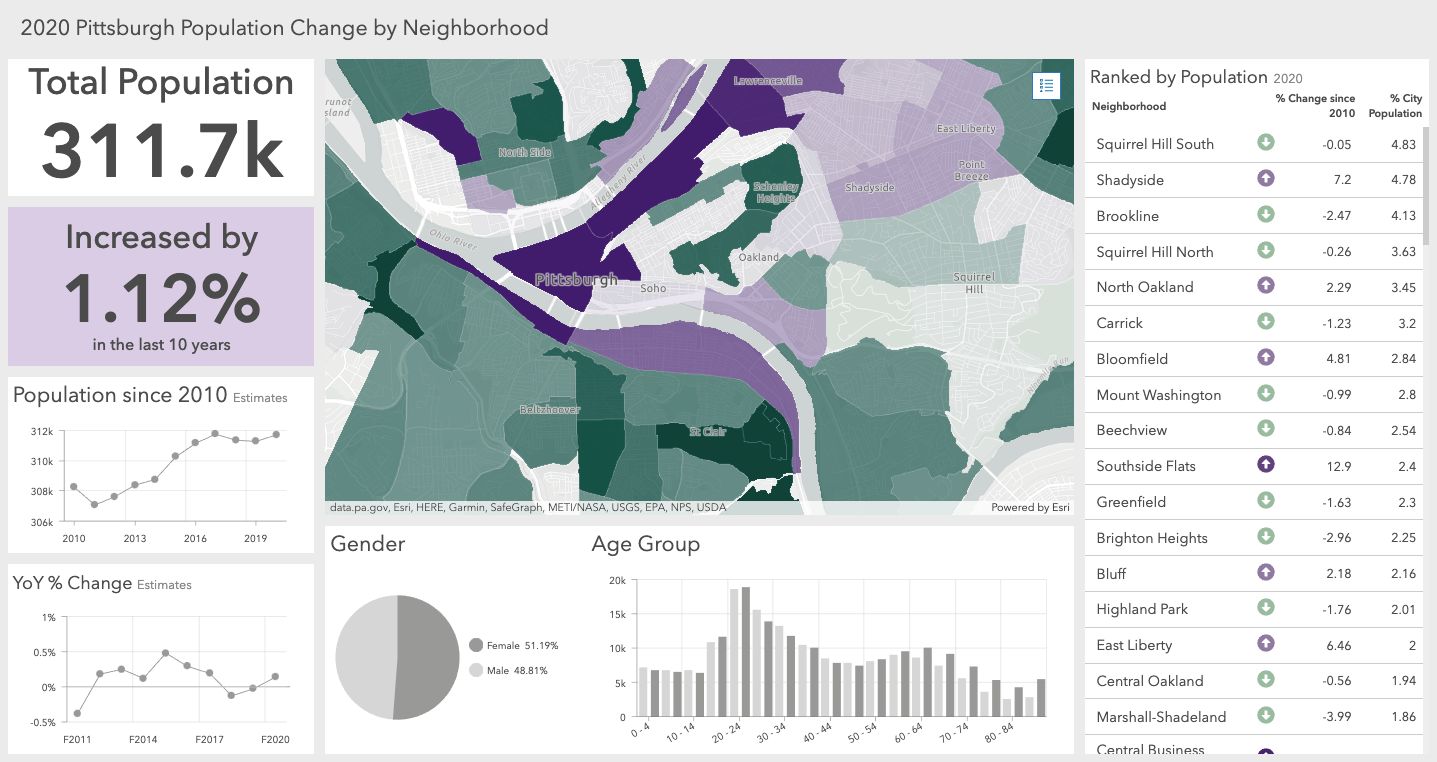 Snapshot Dashboard