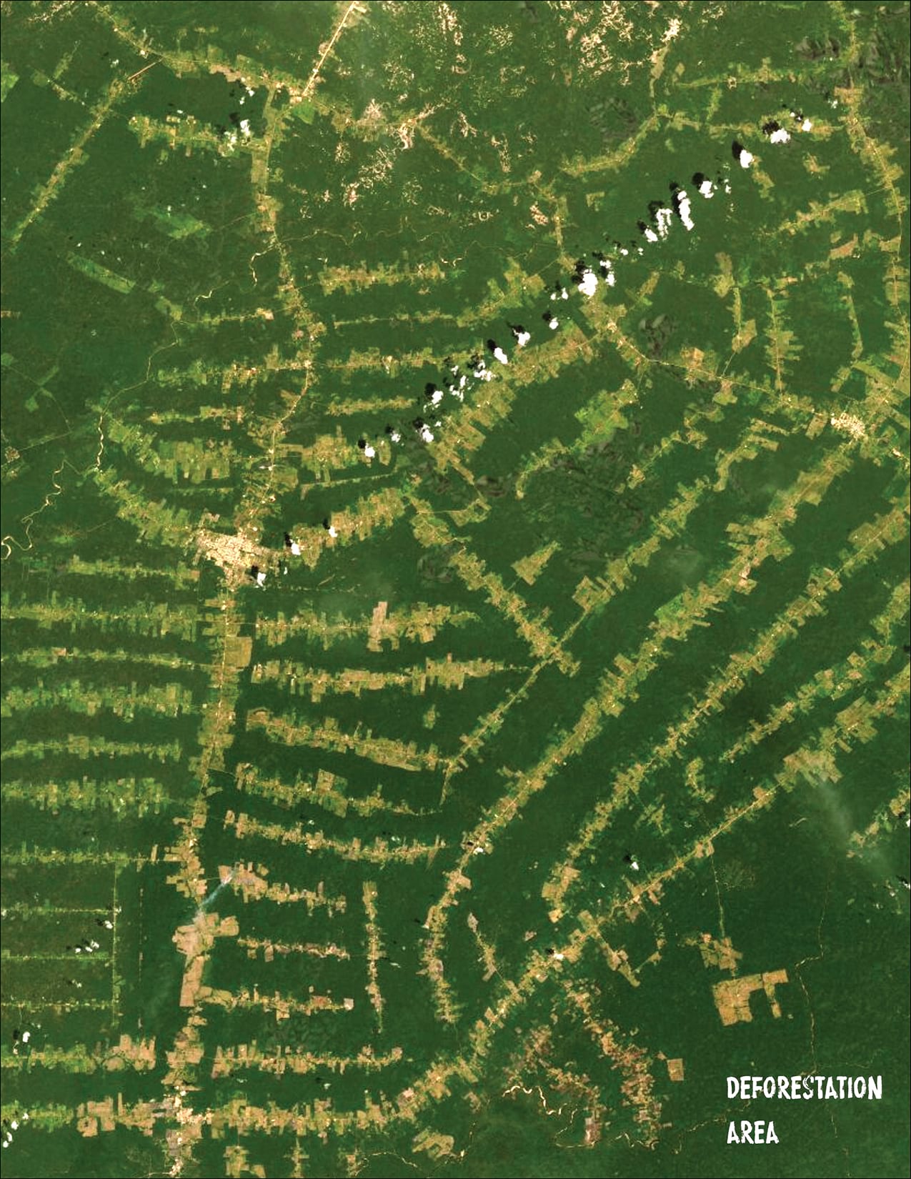 Area 03 Area 03