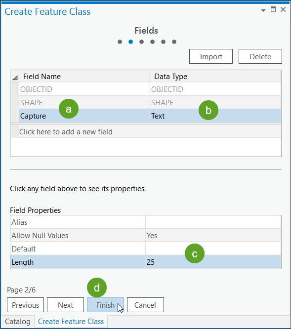 Fields in feature layer