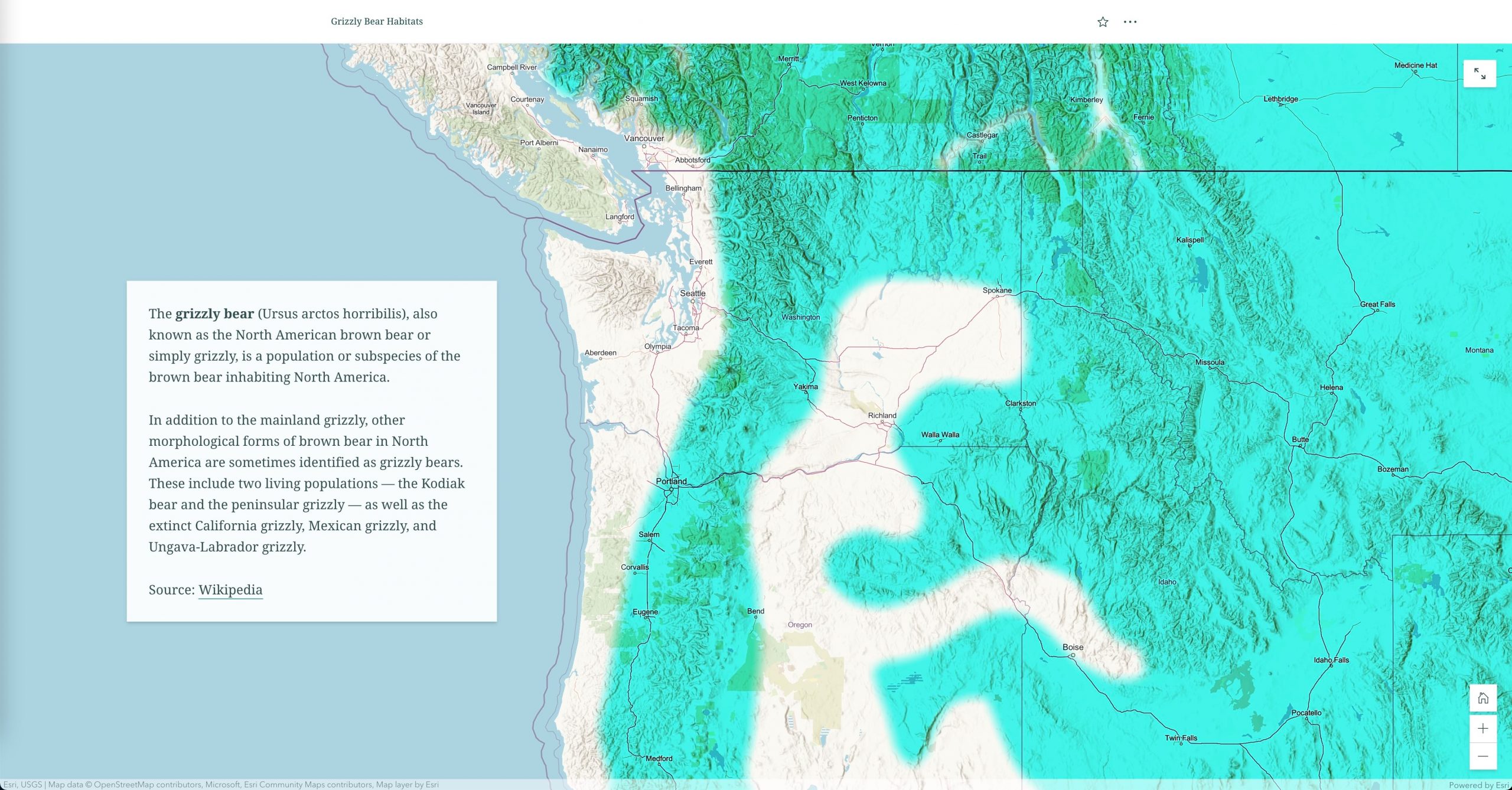 A story using a map with a bloom layer effect