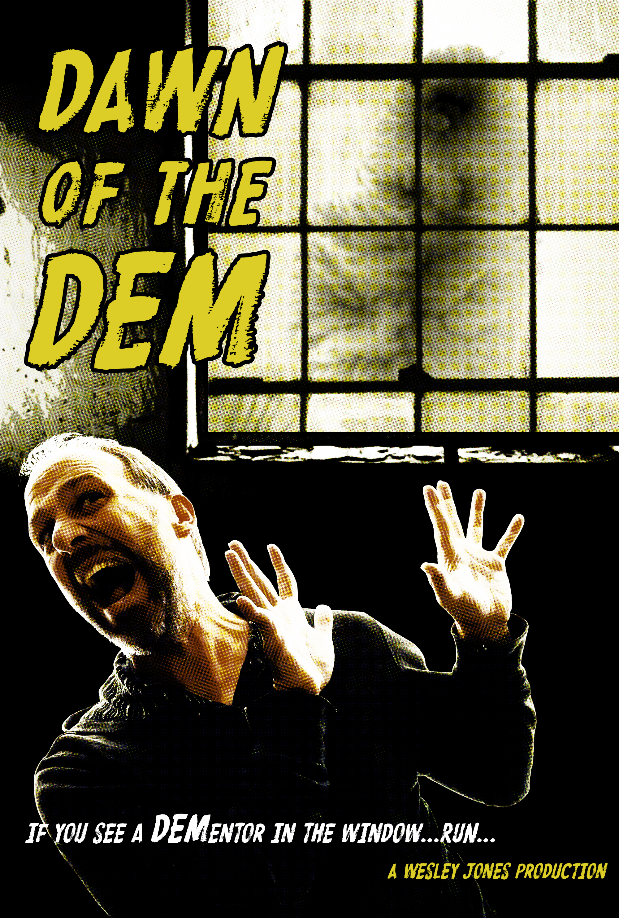 DEMentor Poster DEMentor Poster