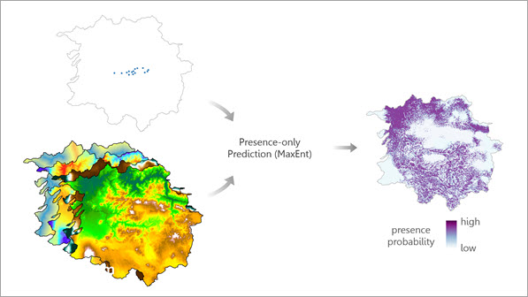The Presence-only Prediction (MaxEnt) geoprocessing tool estimates the presence of a phenomenon in a study area using previously known presence locations and explanatory factors.