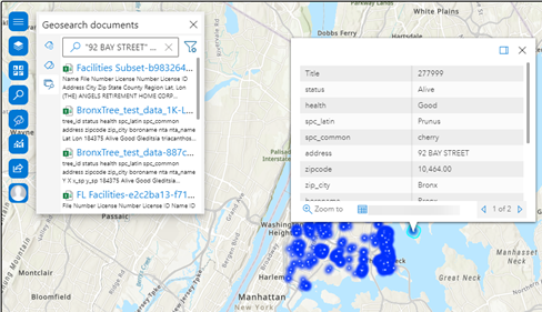 Geotagged feature with pop-up and details