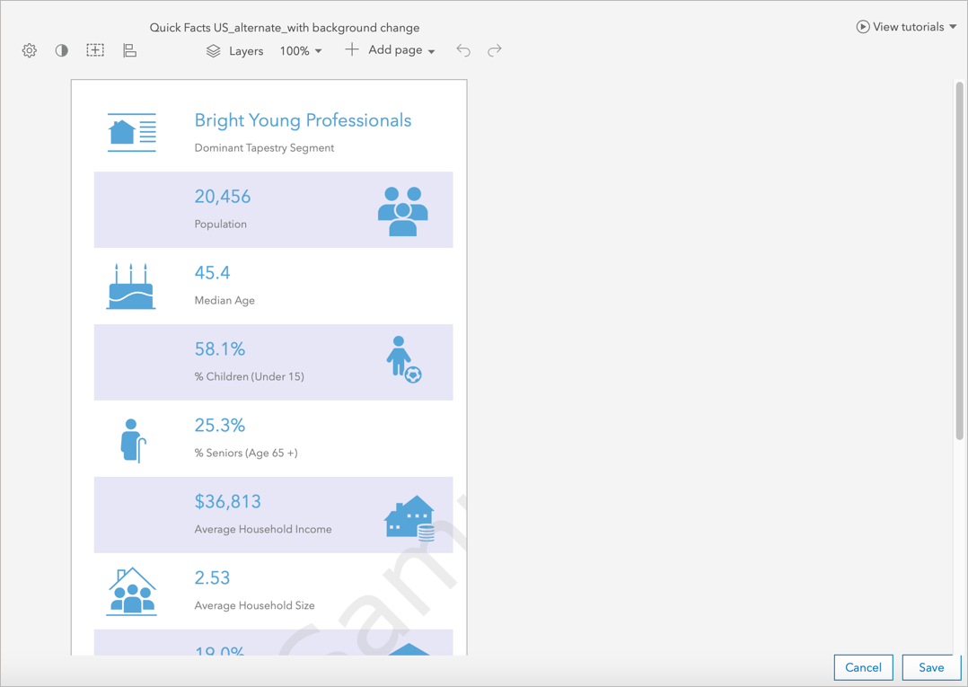 Customized infographic template